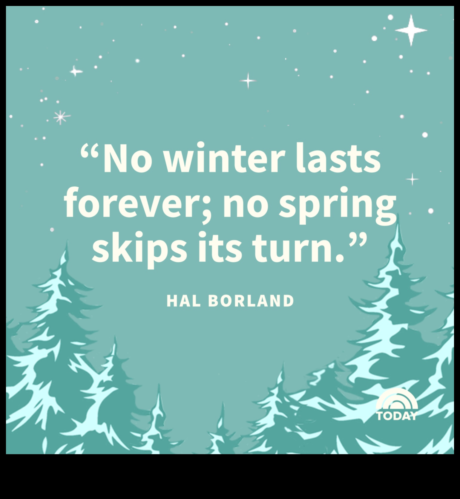 Iarna șoptește surprize sezoniere pentru a încălzi inima 4 Winter Whispers: Surprize sezoniere pentru a încălzi inima