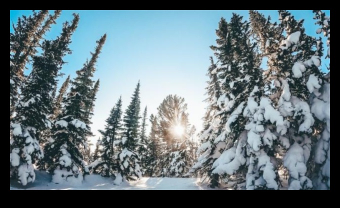 Iarna șoptește surprize sezoniere pentru a încălzi inima 5 Winter Whispers: Surprize sezoniere pentru a încălzi inima