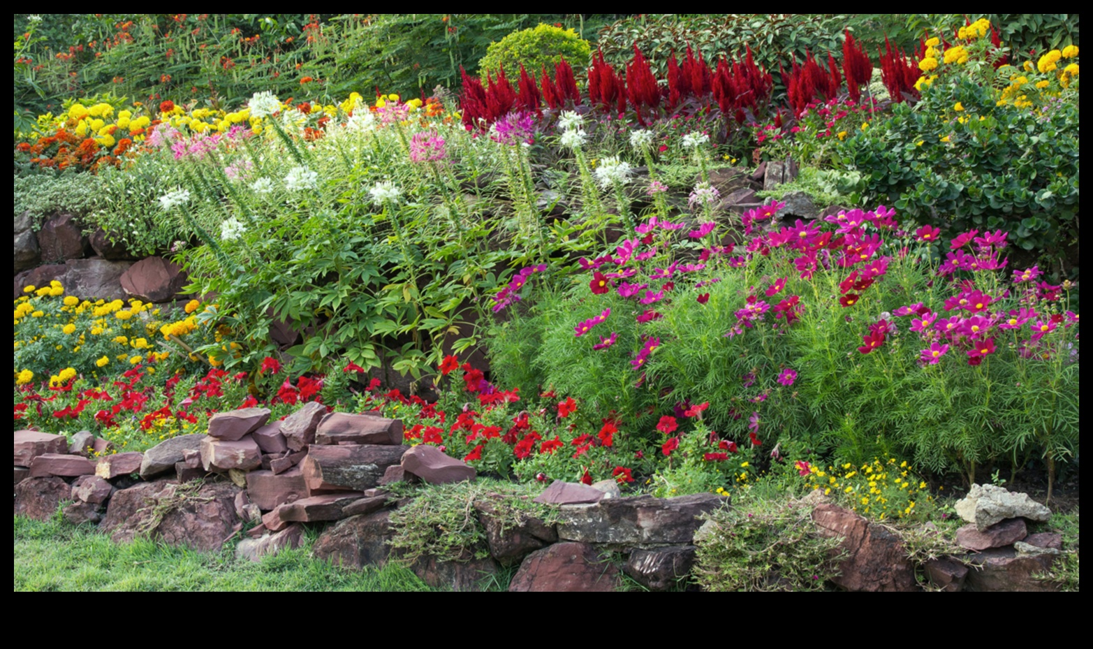 Harmony in Bloom: Ghidul tău pentru întreținerea fără sudură a grădinii