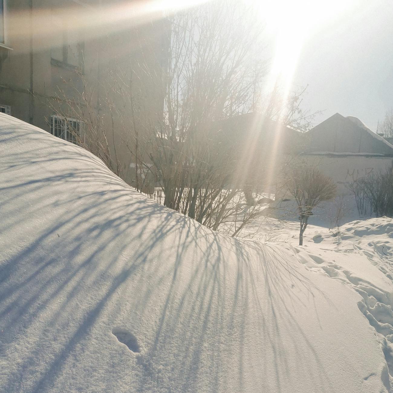 Un tatuaj al unui dragon în stil realist.