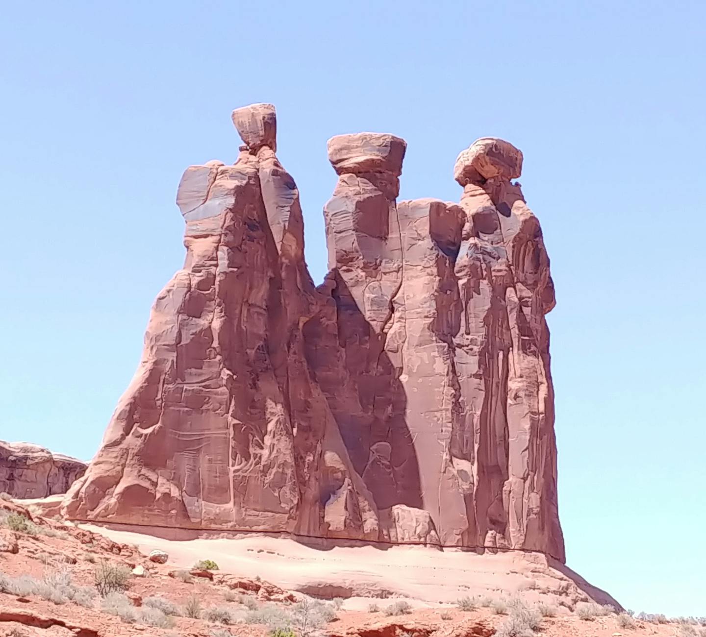 Un tatuaj al unei flori în stil realist.