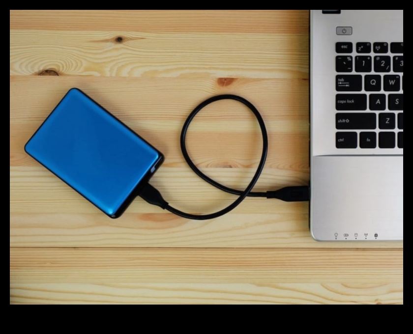 Power Banks portabile: soluții de încărcare în mișcare pentru laptopuri