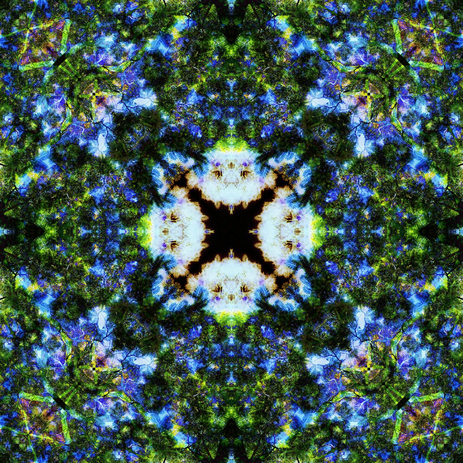 pexels fotografie 3401226