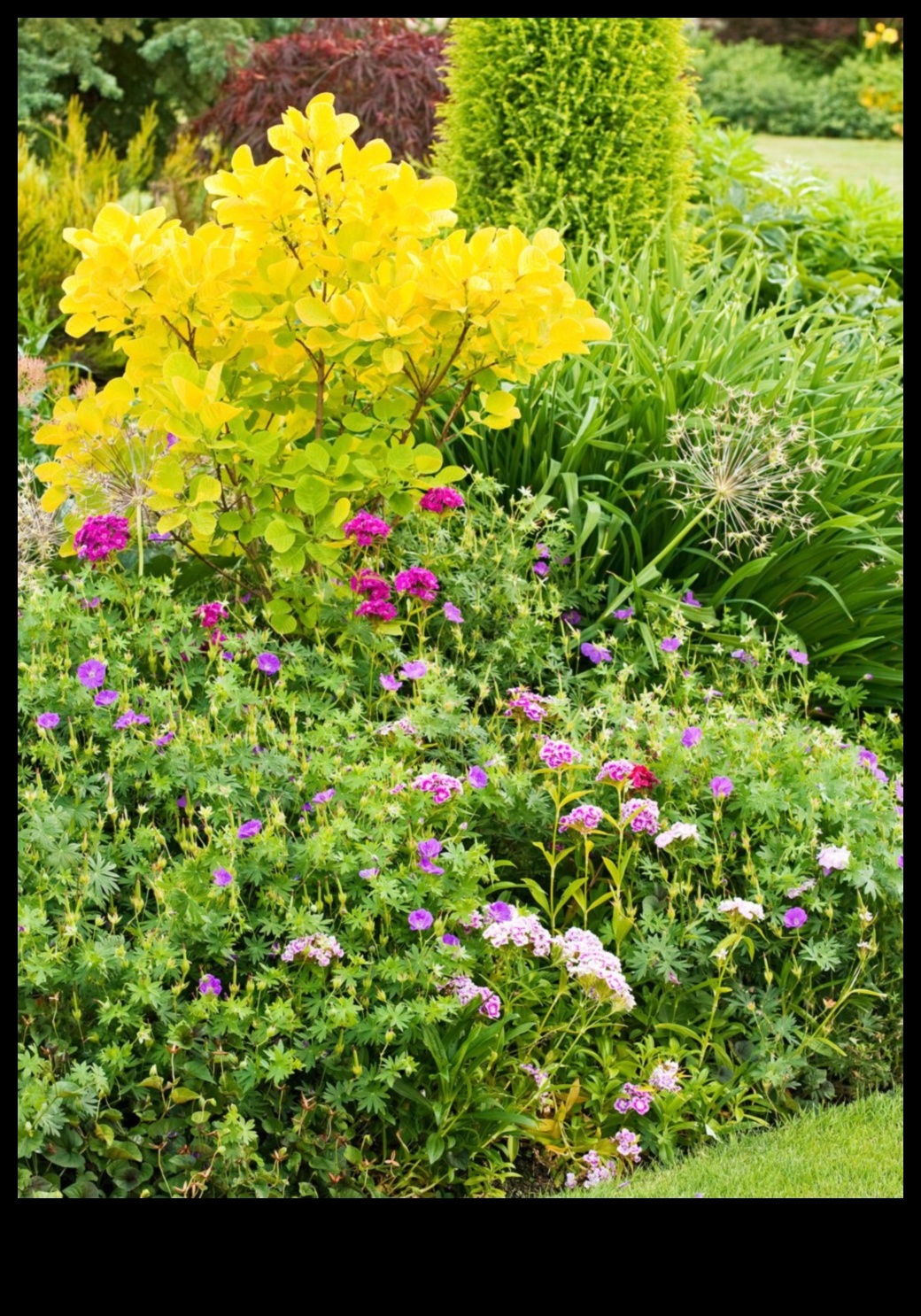 Arta în floare Ridică-ți grădina cu modele unice 2 Arta în floare: ridică-ți grădina cu creații unice