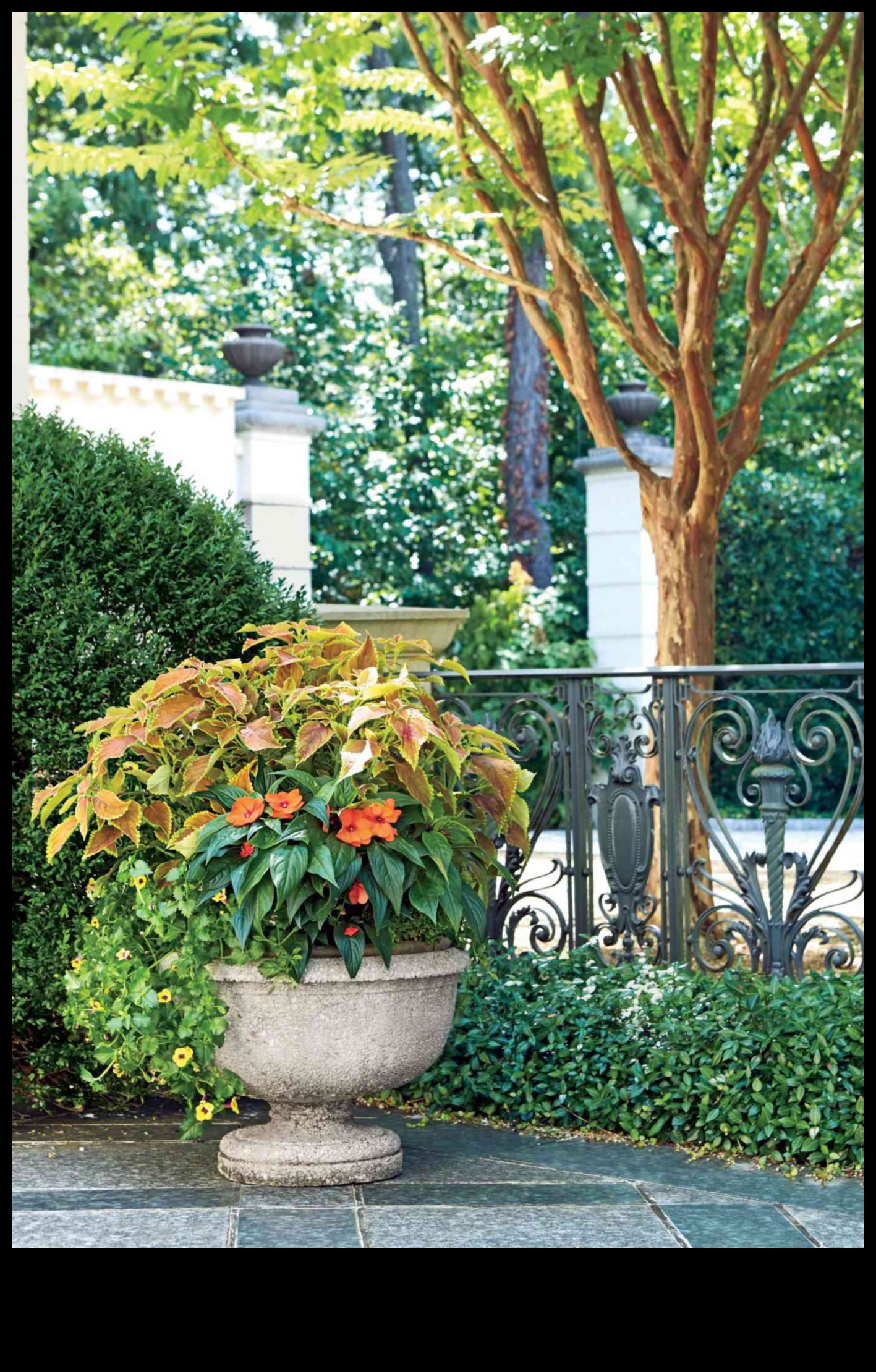 Arta în floare Ridică-ți grădina cu modele unice 4 Arta în floare: ridică-ți grădina cu creații unice