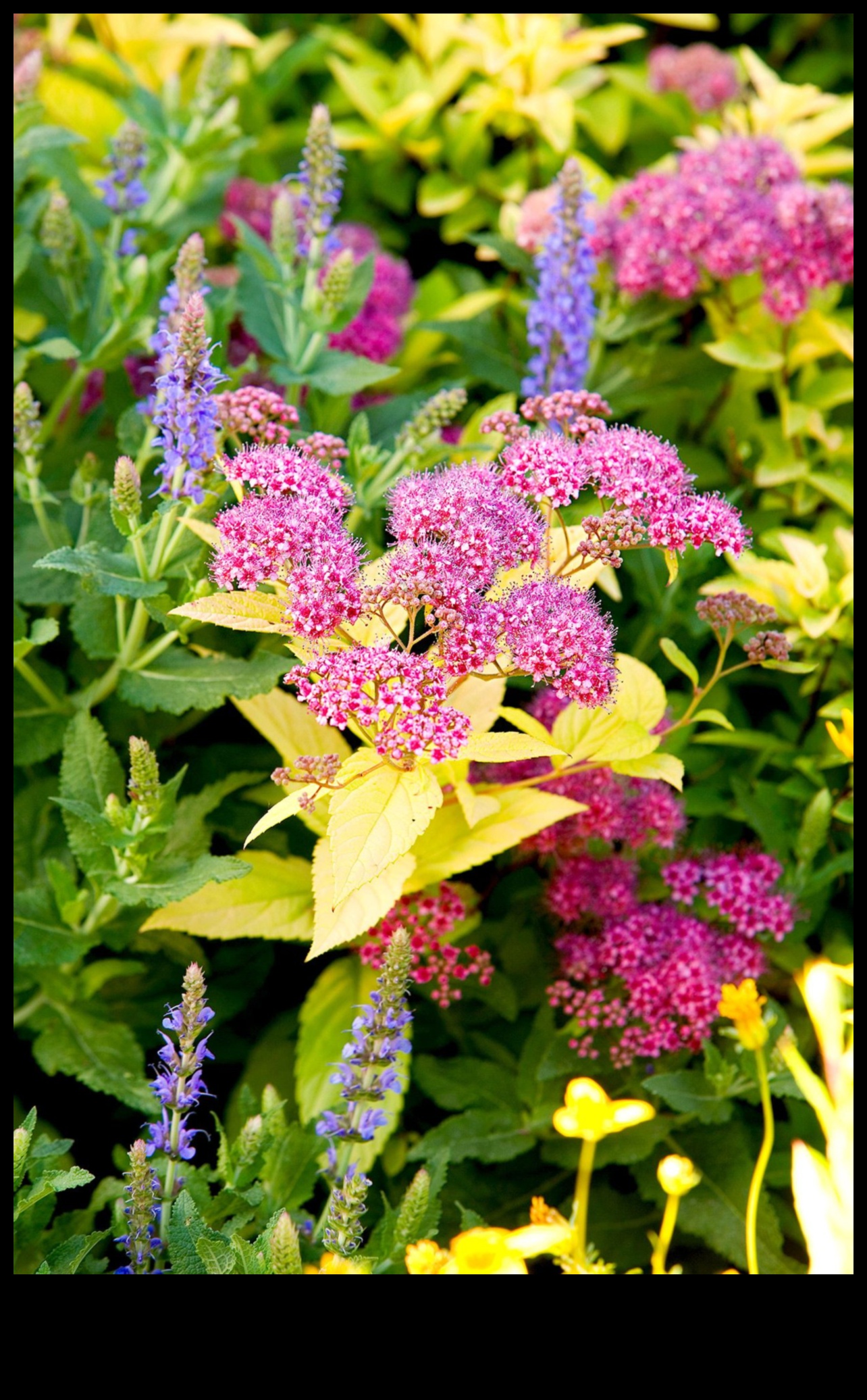 Arta în floare Ridică-ți grădina cu modele unice 3 Arta în floare: ridică-ți grădina cu creații unice