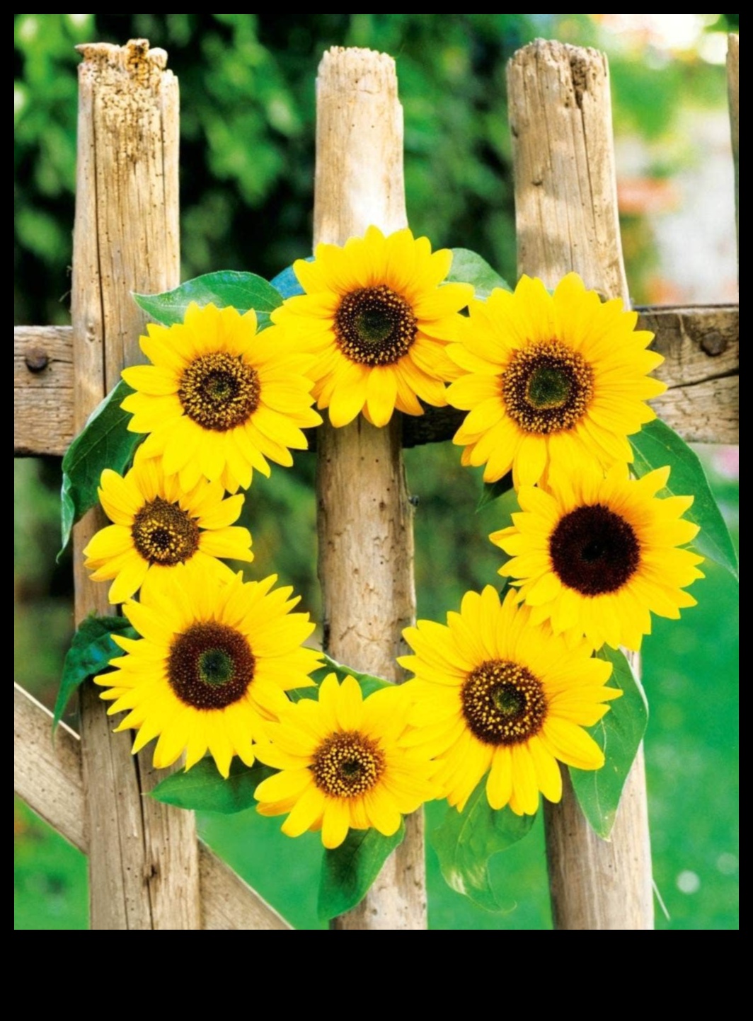 Blossom Brilliance Proiecte de grădină DIY pentru o vară strălucitoare 5 Blossom Brilliance: Creații de bricolaj strălucitoare pentru grădini