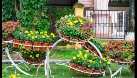 Blossom Brilliance Proiecte de grădină DIY despre o vară strălucitoare 4 Blossom Brilliance: Creații de bricolaj strălucitoare pentru grădini