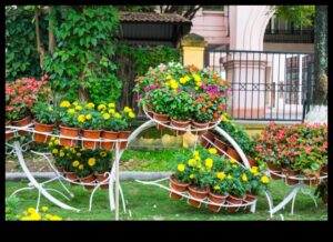 Blossom Brilliance: Creații de bricolaj strălucitoare pentru grădini