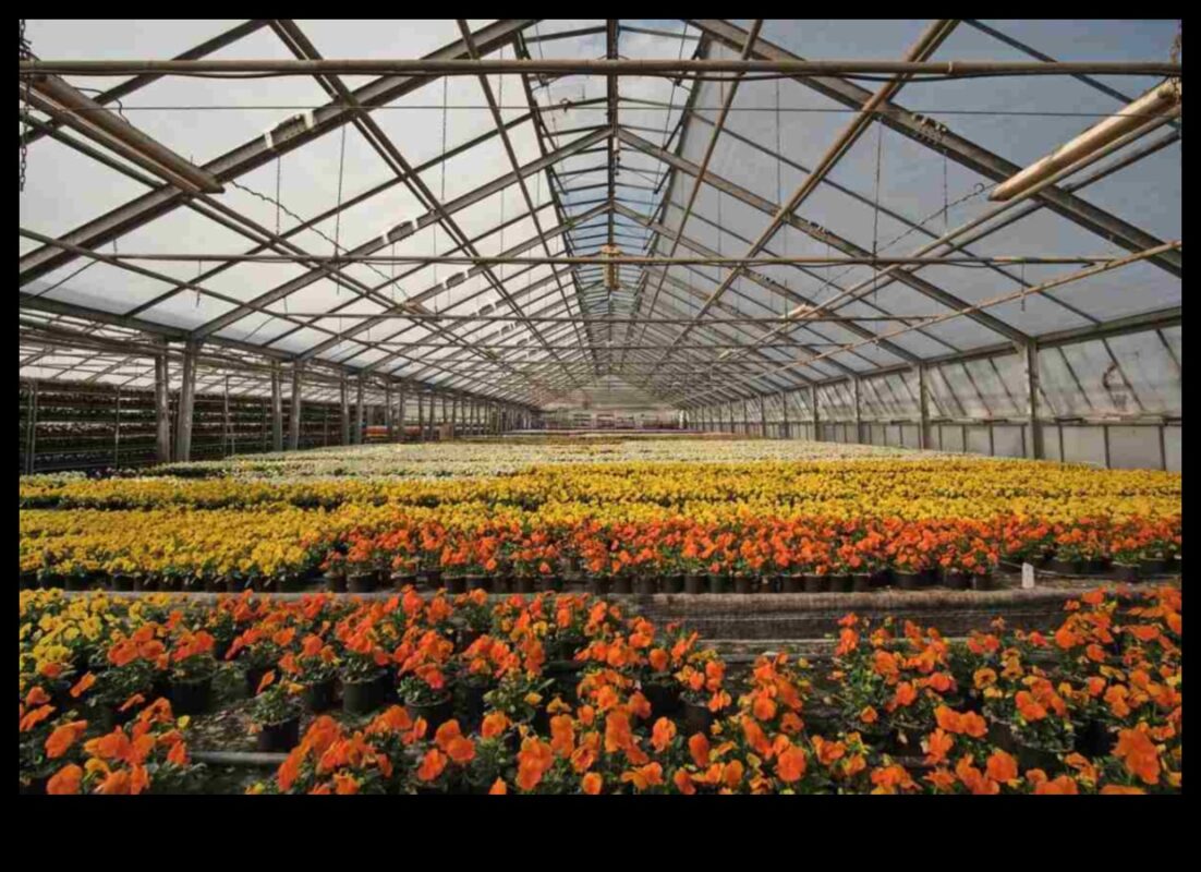 Flori abundente: comori de seră așteaptă