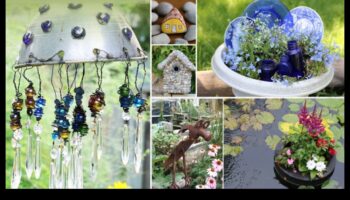 Garden Artisan: DIY-uri creative pentru un spațiu care surprinde frumusețea