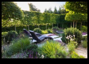 Harmony in Bloom: Ghidul tău pentru întreținerea fără sudură a grădinii