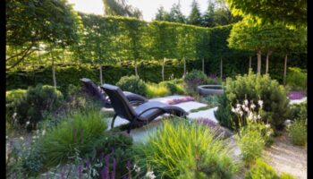 Harmony in Bloom: Ghidul tău pentru întreținerea fără sudură a grădinii