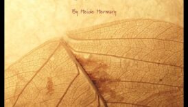 Hrănirea darurilor naturii: Esența grădinăritului organic