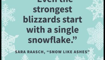 Winter Whispers: Surprize sezoniere pentru a încălzi inima