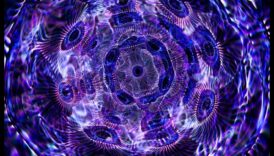 Into the Airwaves: O explorare fascinantă a conectivității wireless