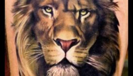 Jurnalele junglei: narațiuni gravate în tatuaje de animale